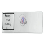 Fungi Yeast Budding Slide